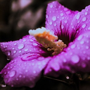 IMG_6084 (2)